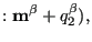 $\displaystyle : \mathbf{m^\beta} + q_2^\beta),$