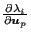 $ \frac{\partial \lambda_i}{\partial \boldsymbol{u}_p}$