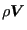 $ \rho \boldsymbol{V}$