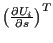 $ \left ( \frac{\partial U_i}{\partial s} \right) ^T$